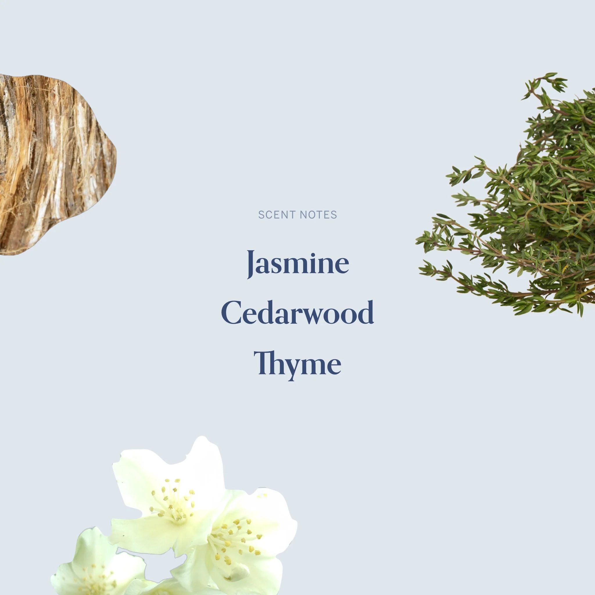 The February Twenty-First Candle - Image 4